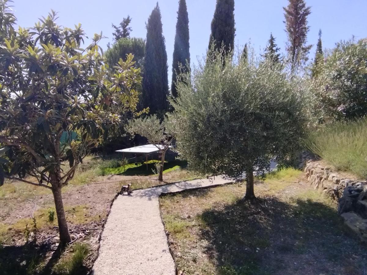 La Villa Des Six Ifs - Le Murier Flayosc Zewnętrze zdjęcie